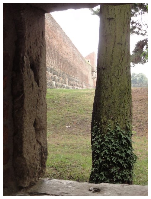 Das mittelalterliche Zons