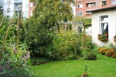 29.08.2008 - Regen, Regen, Regen.... ;-(