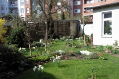 Foto0242