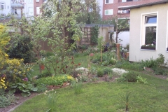 Foto0278