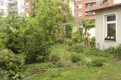 Foto0301