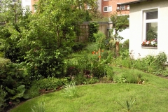 Foto0317