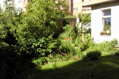 Foto0365