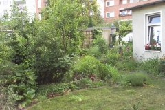 Foto0445