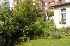 Foto0468