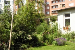 Foto0501