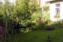 Foto0514