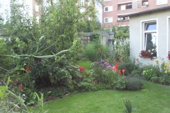 Foto0599
