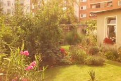 Foto0604