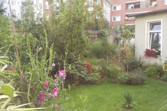 Foto0609
