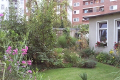 Foto0611