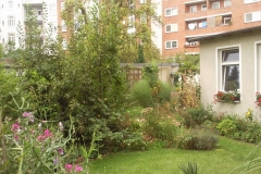 Foto0616