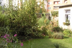 Foto0618