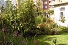 Foto0622