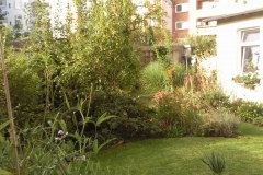 Foto0624