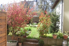 Foto0908
