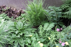Unterm Birnenbaum im Juni