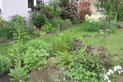 Blick zum Haus / Hof