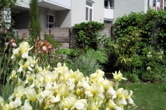Foto0968