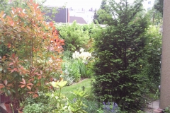Blick vom Hof in den Garten