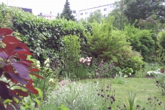 Foto0979