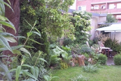 Foto0999
