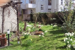 Frühjahr 2011