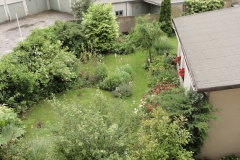 DSC07134