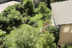 DSC07135