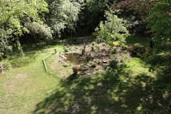 Unser Garten wöchentlich