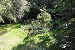 Unser Garten wöchentlich