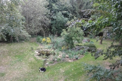 Unser Garten wöchentlich