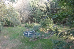 Unser Garten wöchentlich