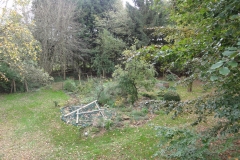 Unser Garten wöchentlich