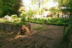 IMAG0282