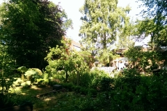 IMAG0315