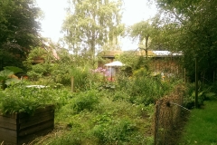 IMAG0385
