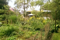 IMAG0404