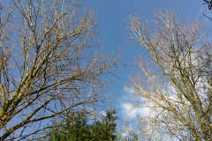 IMAG0080
