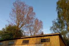 IMAG0109