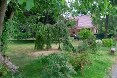 15.06.2018