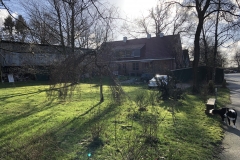 Endlich wieder Sonne! - 11.02.2019