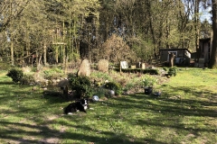 15.04.2019