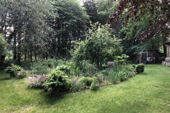 03.06.2019