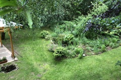 08.06.2019