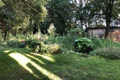 17.06.2019