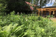 22.06.2019