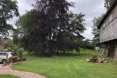 15.07.2019