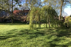 25.04.2020