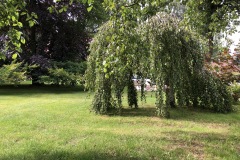 19.07.2020
